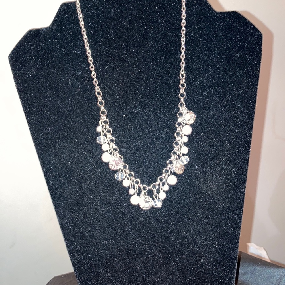 Silver princess